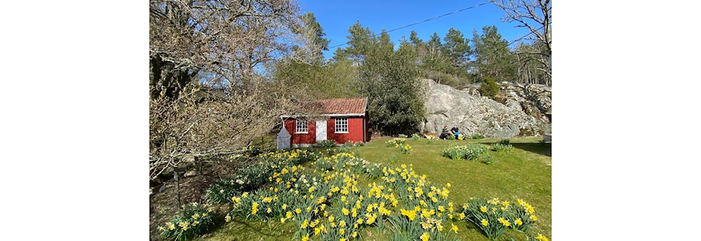 Klubbtur til Auesøya